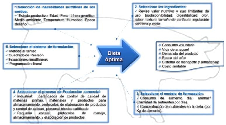 Alimentación Práctica del Cerdo - Image 10
