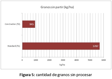 Procesadores de granos específicos para cultivo de sorgo - Image 6