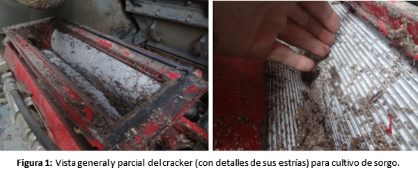 Procesadores de granos específicos para cultivo de sorgo - Image 2