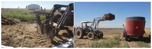El tractor “ganadero” - Image 2