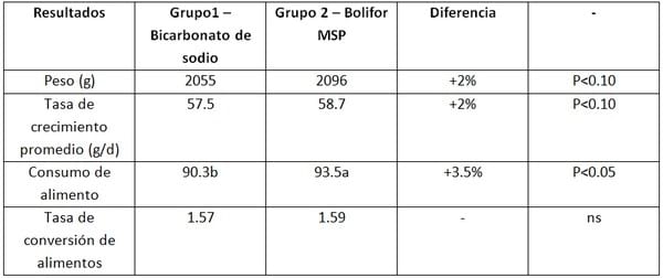 Ensayo de BOLIFOR® MSP en la alimentación de pollos de engorda - Image 2