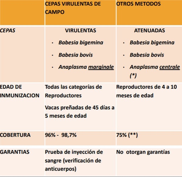 Tristeza bovina Nuevo Enfoque de Inmunización a partir del uso de cepas virulentas de campo - Image 1