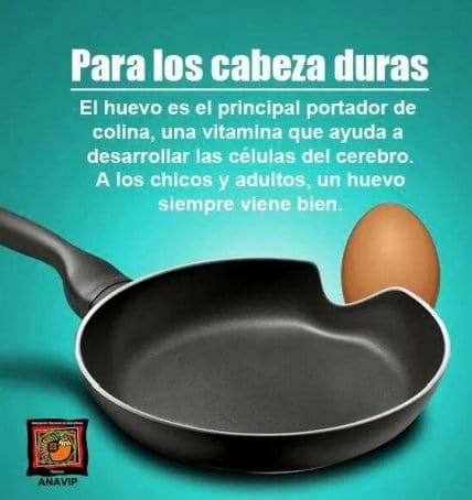 13 de octubre 2017 es el Día Mundial del Huevo (DMH) 22 años de celebración ¿Tienes preguntas? Aquí van las respuestas - Image 30