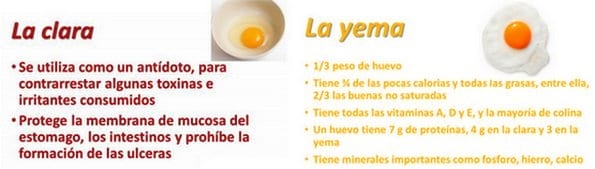 13 de octubre 2017 es el Día Mundial del Huevo (DMH) 22 años de celebración ¿Tienes preguntas? Aquí van las respuestas - Image 24