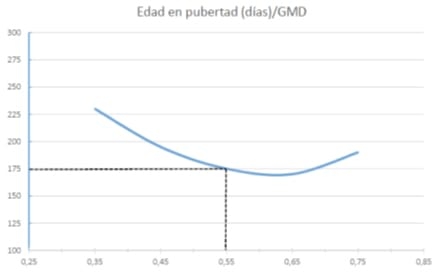 Desarrollo y aclimatación de nulíparas. Puntos clave de la productividad de las explotaciones porcinas - Image 2