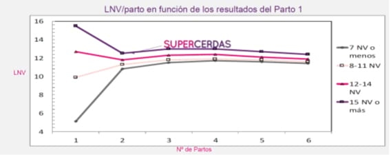Desarrollo y aclimatación de nulíparas. Puntos clave de la productividad de las explotaciones porcinas - Image 1