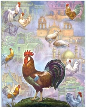 Origen de la gallina - Image 3