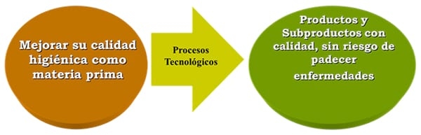 Buenas practicas agricolas en producción de leche caprina - Image 2