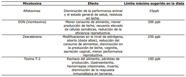 Micotoxinas: cuando la comida puede enfermar - Image 1