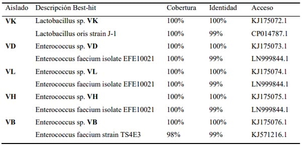 Dinámica poblacional y aislamiento de bacterias ácido lácticas en lactosuero fermentado - Image 3