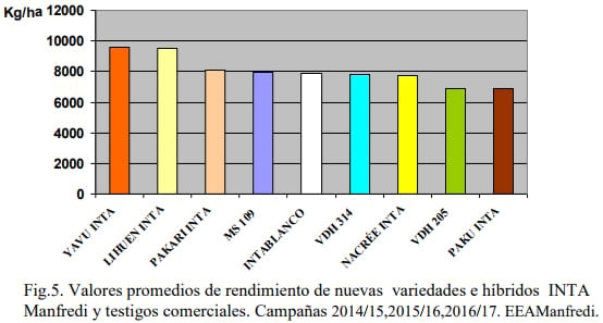Nuevos desarrollos: híbridos y variedades graníferos y forrajeros 2017 - Image 7