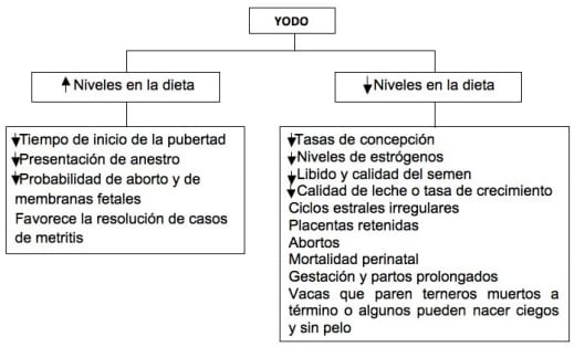 Hormonas tiroideas en bovinos: artículo de revisión - Image 1