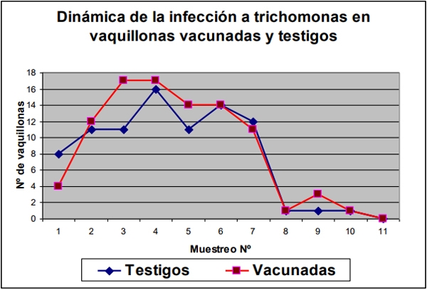 Enfermedades venéreas que afectan la reproducción - Image 19
