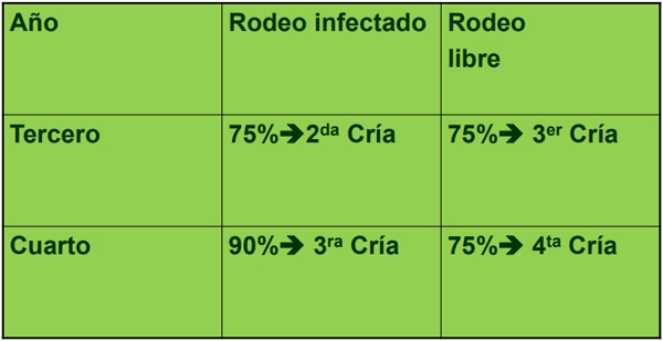 Enfermedades venéreas que afectan la reproducción - Image 22