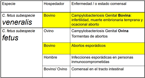 Enfermedades venéreas que afectan la reproducción - Image 28