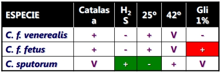 Enfermedades venéreas que afectan la reproducción - Image 34