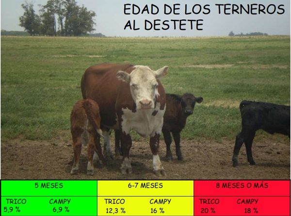 Enfermedades venéreas que afectan la reproducción - Image 77