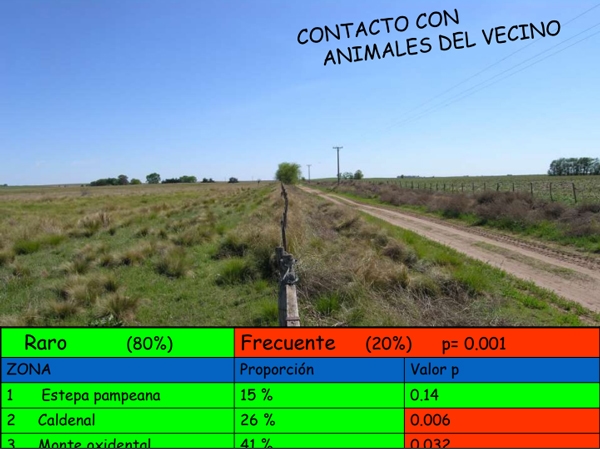 Enfermedades venéreas que afectan la reproducción - Image 75