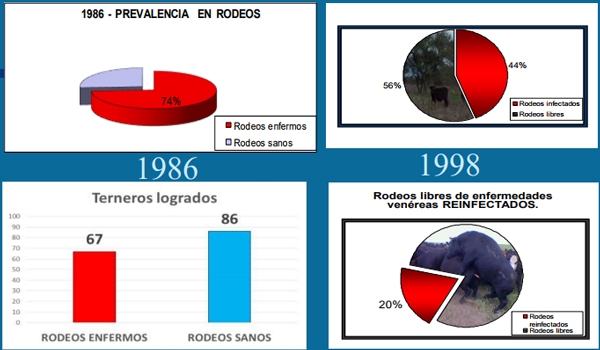 Enfermedades venéreas que afectan la reproducción - Image 66