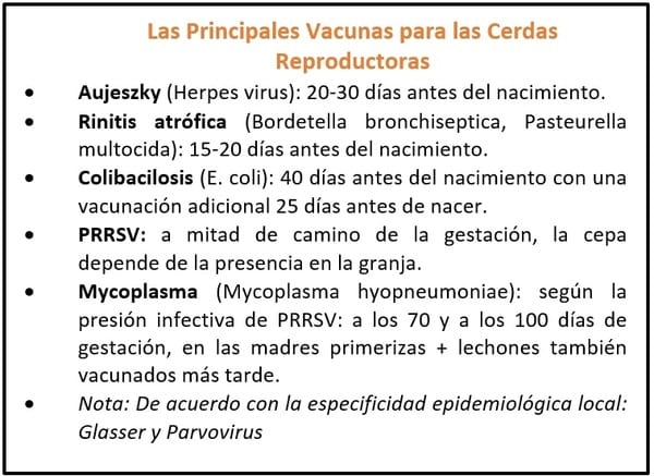 Impulsar la transferencia inmunológica de la cerda a los lechones: la Importancia de la Calidad del Calostro. - Image 2