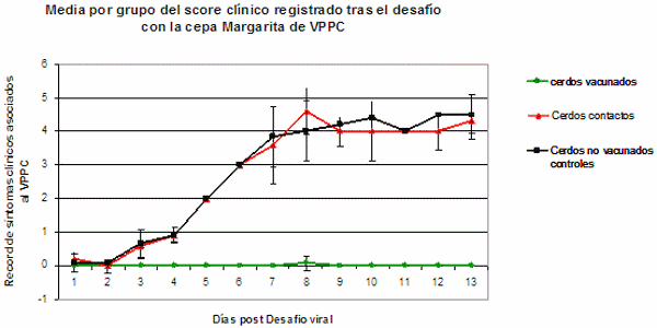 Evaluación de la eficacia, transmisión y replicación de una vacuna viva lapinizada contra la Peste Porcina Clásica - Image 6