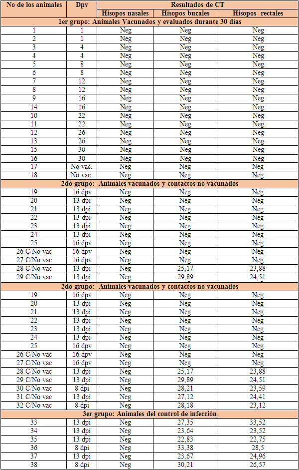 Evaluación de la eficacia, transmisión y replicación de una vacuna viva lapinizada contra la Peste Porcina Clásica - Image 11