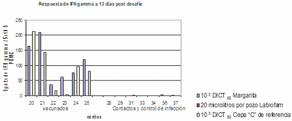 Evaluación de la eficacia, transmisión y replicación de una vacuna viva lapinizada contra la Peste Porcina Clásica - Image 18