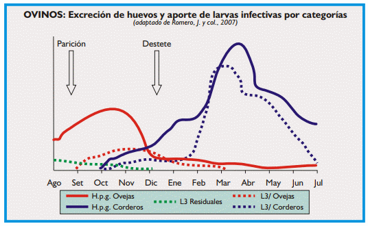 Gastroenteritis verminosa de los rumiantes. Parte 1 - Image 27