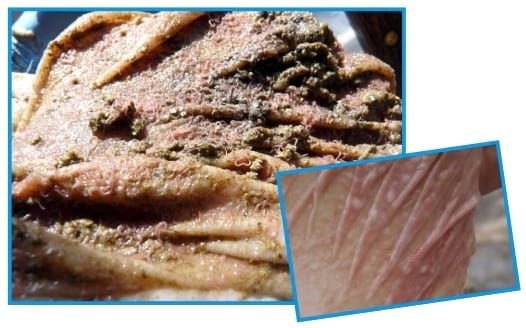 Gastroenteritis verminosa de los rumiantes. Parte 1 - Image 26