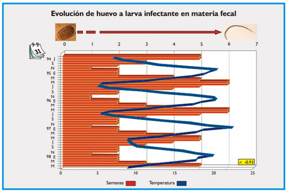 Gastroenteritis verminosa de los rumiantes. Parte 1 - Image 6