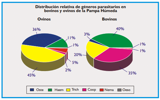 Gastroenteritis verminosa de los rumiantes. Parte 1 - Image 25
