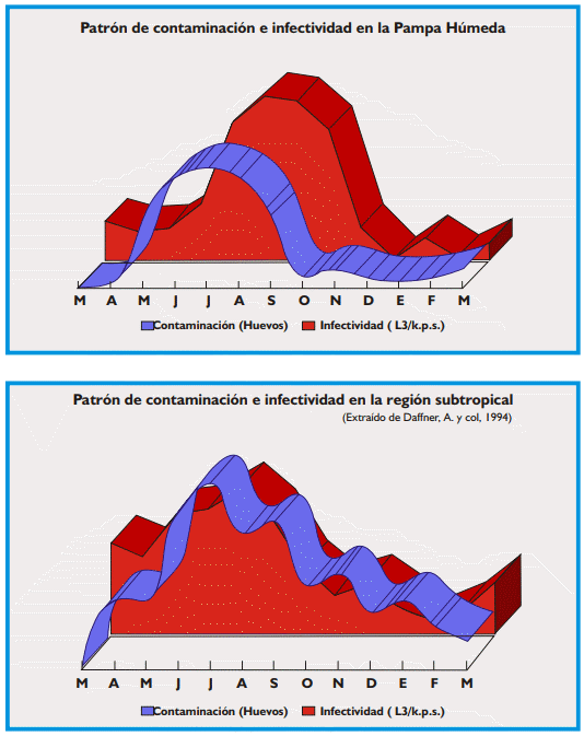 Gastroenteritis verminosa de los rumiantes. Parte 1 - Image 7