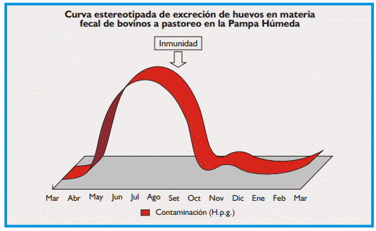 Gastroenteritis verminosa de los rumiantes. Parte 1 - Image 36