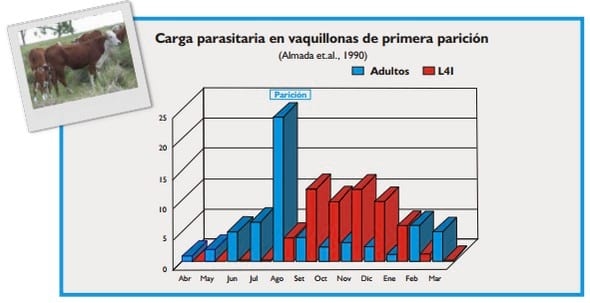 Gastroenteritis verminosa de los rumiantes. Parte 1 - Image 8