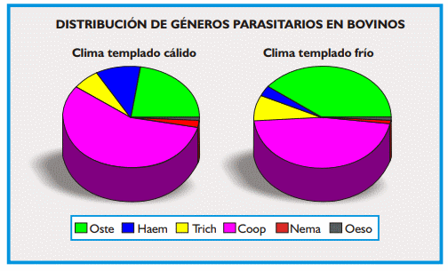 Gastroenteritis verminosa de los rumiantes. Parte 1 - Image 2