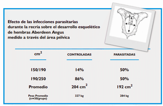 Gastroenteritis verminosa de los rumiantes. Parte 1 - Image 20