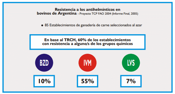 Gastroenteritis verminosa de los rumiantes. Parte 2 - Image 8