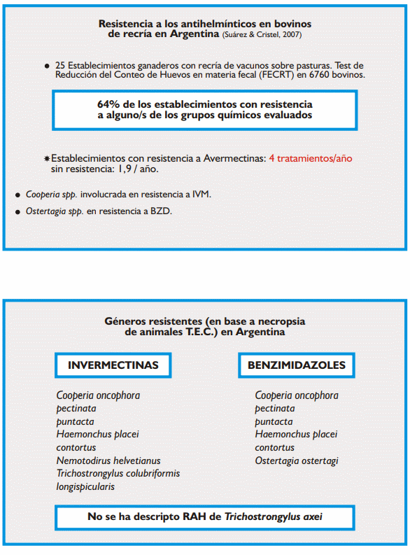 Gastroenteritis verminosa de los rumiantes. Parte 2 - Image 9