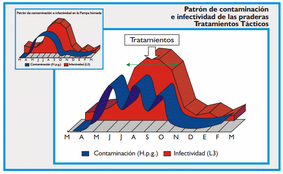 Gastroenteritis verminosa de los rumiantes. Parte 2 - Image 5