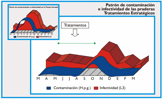 Gastroenteritis verminosa de los rumiantes. Parte 2 - Image 4