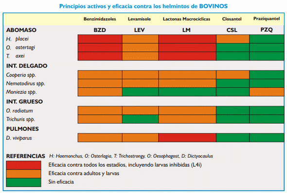 Gastroenteritis verminosa de los rumiantes. Parte 2 - Image 1