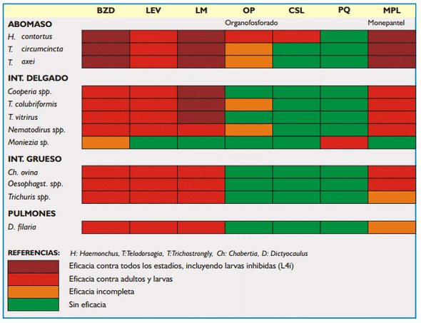 Gastroenteritis verminosa de los rumiantes. Parte 2 - Image 2