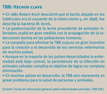 PCR Para Vigilancia Epidemiológica Tuberculosis Bovina - Image 6