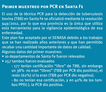 PCR Para Vigilancia Epidemiológica Tuberculosis Bovina - Image 11