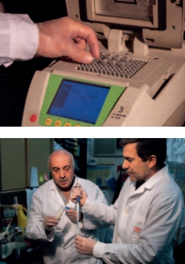 PCR Para Vigilancia Epidemiológica Tuberculosis Bovina - Image 4
