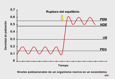 Historia e importancia de la Sanidad Vegetal. Afectaciones por plagas en el cultivo del trigo (Solanum Lycopersicum.) en el cono sur de América - Image 1