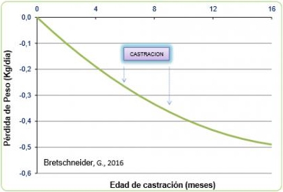 Castración: ¿cuanto antes, mejor? - Image 1