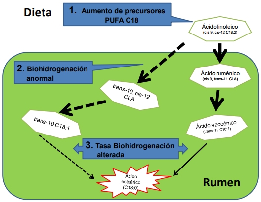 Síndrome del bajo tenor de grasa en leche - Image 1