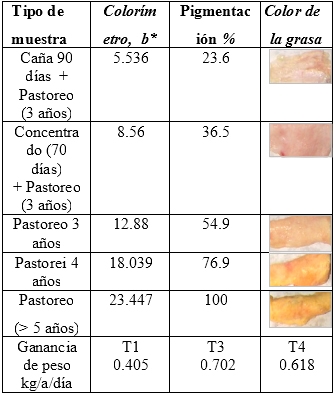 La caña de azúcar un recurso estratégico en la alimentación bovina en la ganadería tropical - Image 4