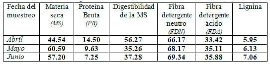 Bloques Multinutricionales (BMN) y Suplemento Activador Ruminal (SAR) - Image 15